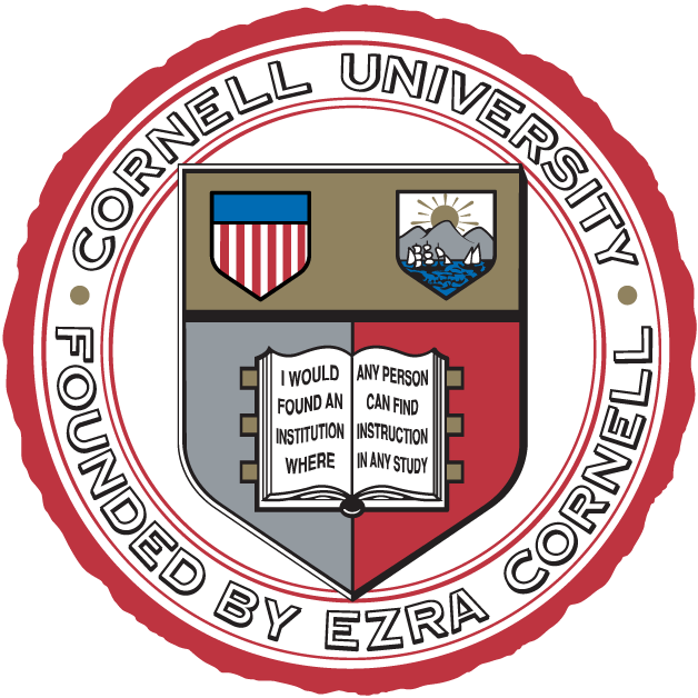 Cornell Big Red 1865-Pres Alternate Logo diy iron on heat transfer